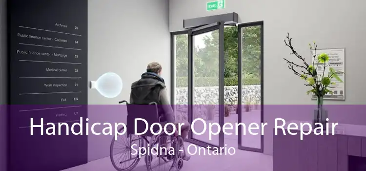 Handicap Door Opener Repair Spidna - Ontario