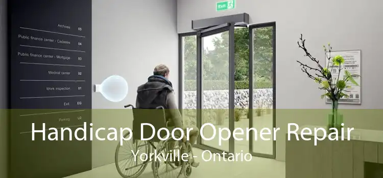 Handicap Door Opener Repair Yorkville - Ontario