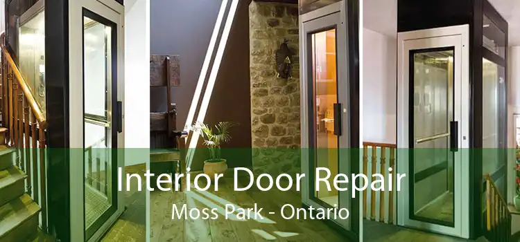 Interior Door Repair Moss Park - Ontario
