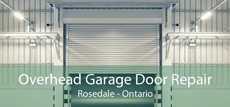 Overhead Garage Door Repair Rosedale - Ontario