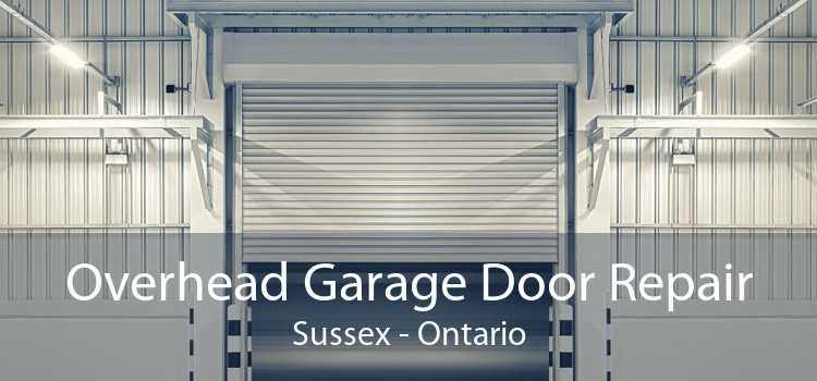 Overhead Garage Door Repair Sussex - Ontario