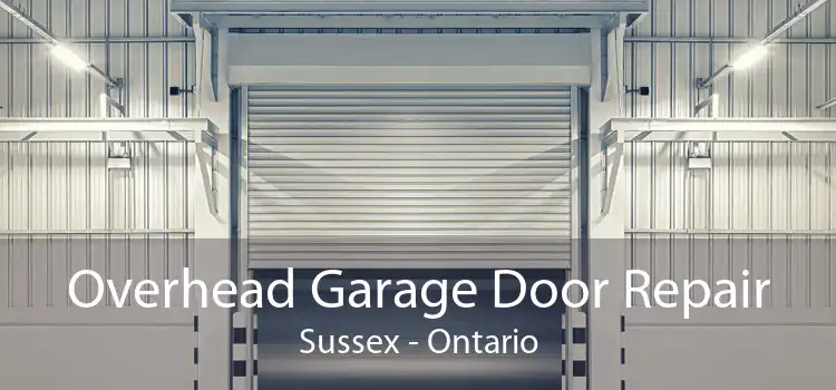 Overhead Garage Door Repair Sussex - Ontario