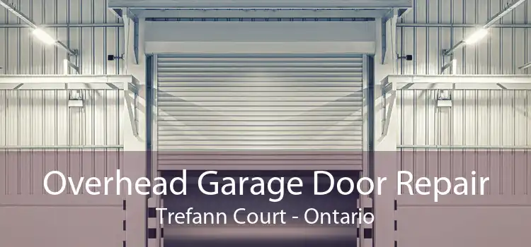 Overhead Garage Door Repair Trefann Court - Ontario