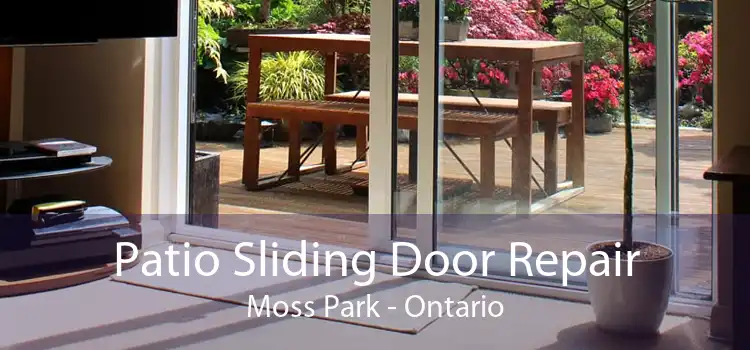 Patio Sliding Door Repair Moss Park - Ontario