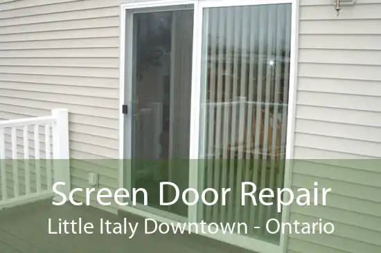 Screen Door Repair Little Italy Downtown - Ontario