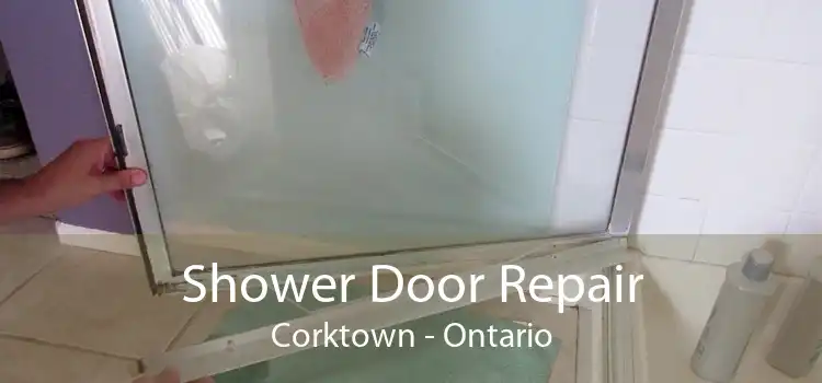 Shower Door Repair Corktown - Ontario