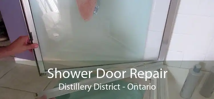 Shower Door Repair Distillery District - Ontario