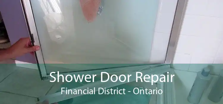 Shower Door Repair Financial District - Ontario