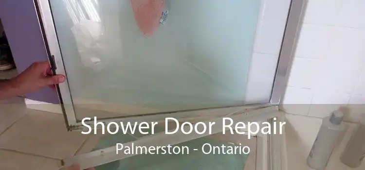 Shower Door Repair Palmerston - Ontario