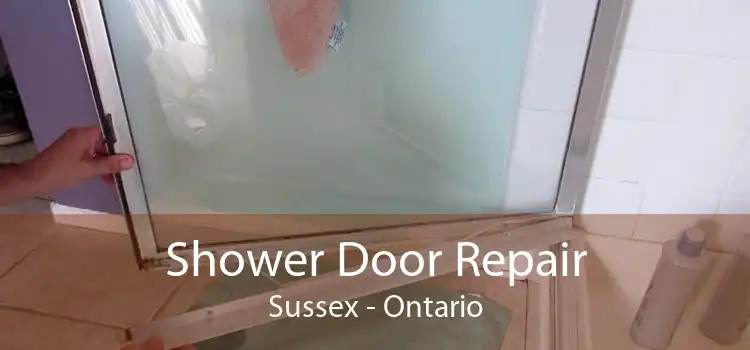Shower Door Repair Sussex - Ontario