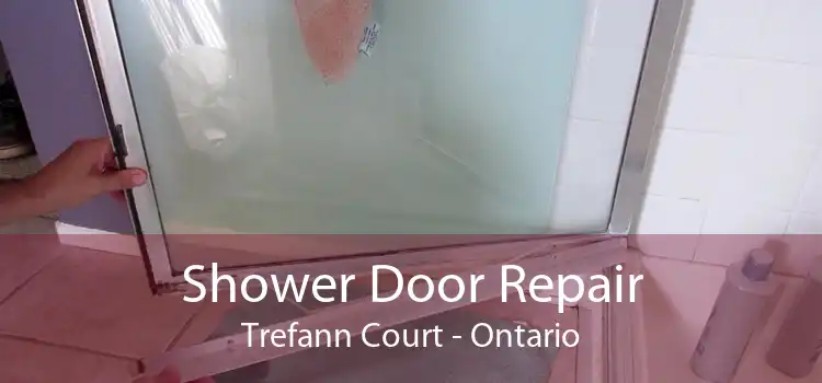 Shower Door Repair Trefann Court - Ontario