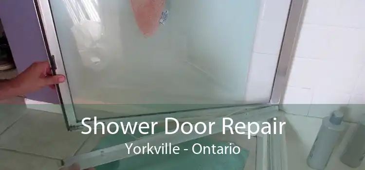 Shower Door Repair Yorkville - Ontario