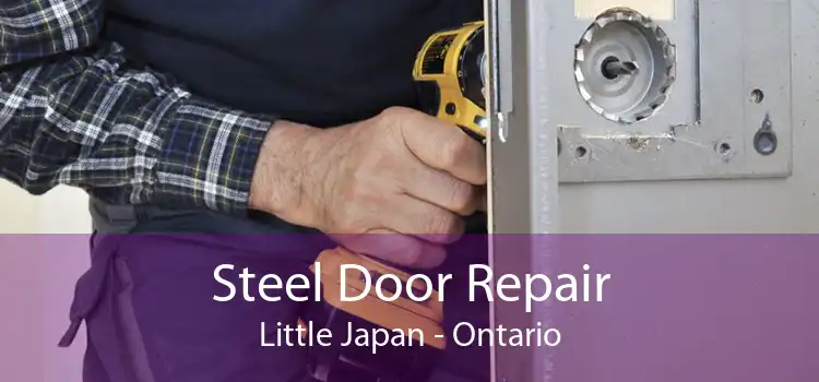Steel Door Repair Little Japan - Ontario