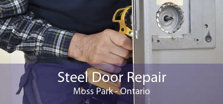 Steel Door Repair Moss Park - Ontario