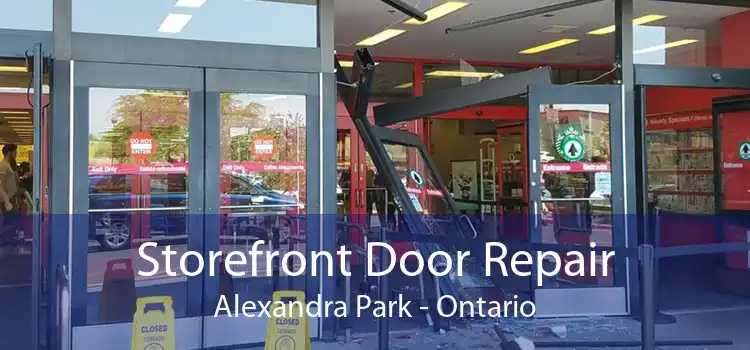 Storefront Door Repair Alexandra Park - Ontario