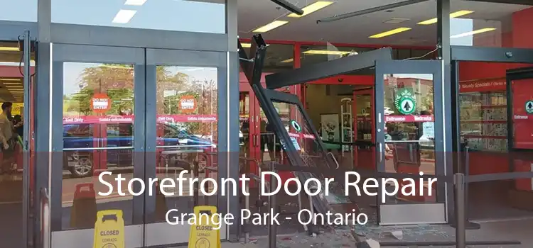 Storefront Door Repair Grange Park - Ontario