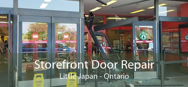 Storefront Door Repair Little Japan - Ontario
