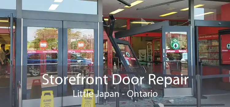 Storefront Door Repair Little Japan - Ontario