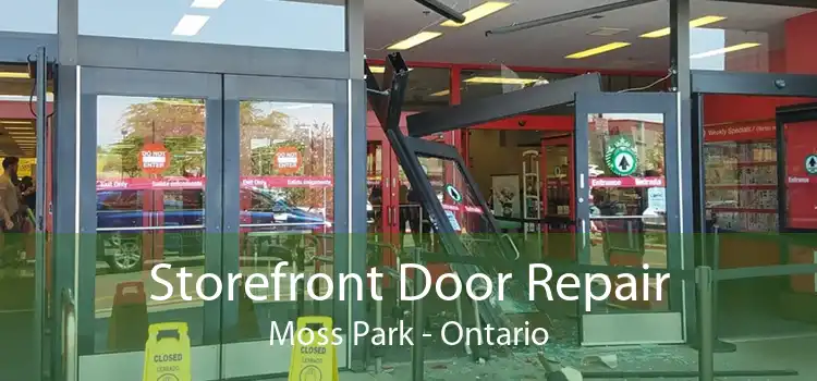 Storefront Door Repair Moss Park - Ontario