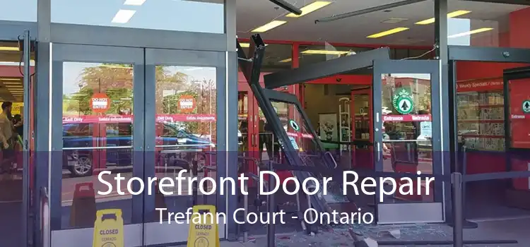 Storefront Door Repair Trefann Court - Ontario