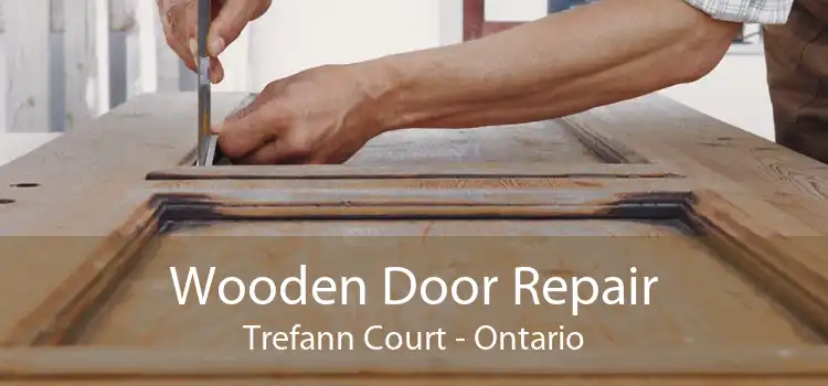 Wooden Door Repair Trefann Court - Ontario