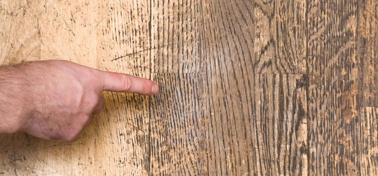 Wood Door Scratch Repair in Dufferin Grove